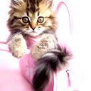 Марина Огнева