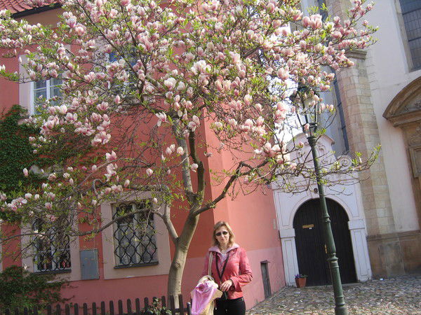 Нина Кривицкая