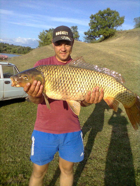 Александр Литвин