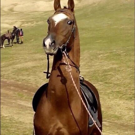 Нуржан Узакбай