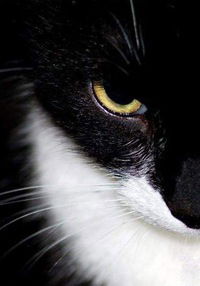 Максим Петухов