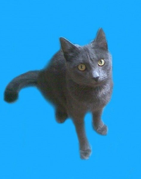 Мария Мизгулина