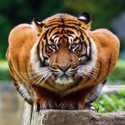 Ярослав Ковальский