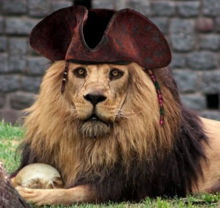 Евгений Елумеев