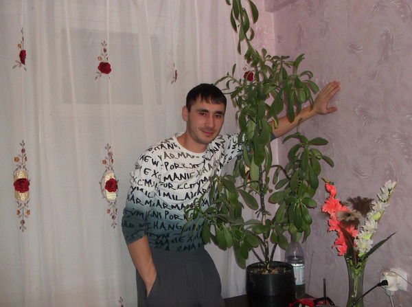 Владимир Киселёв