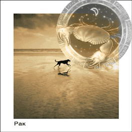 Нуржауган Aлтаева