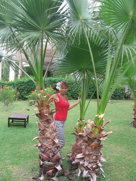 Алина Чаплыгина