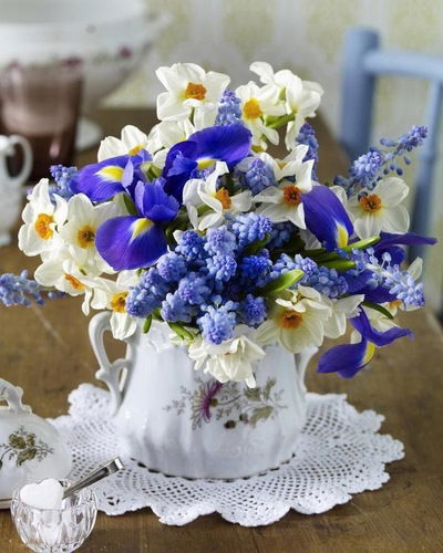 Светлана Степанова