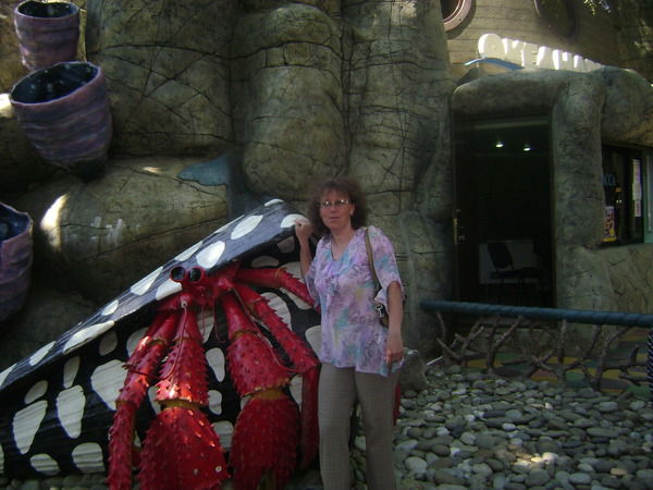 Елена Соколова