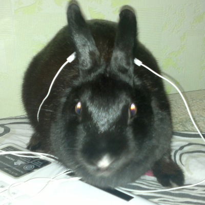 Всеволод Долотказин