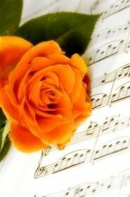 Гульмира Омарова