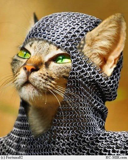 Наталья Шабалина