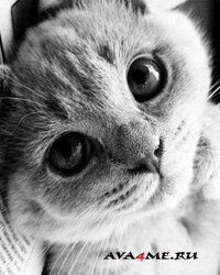 Ольга Марценюк