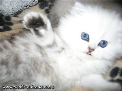 Ира Красадымская