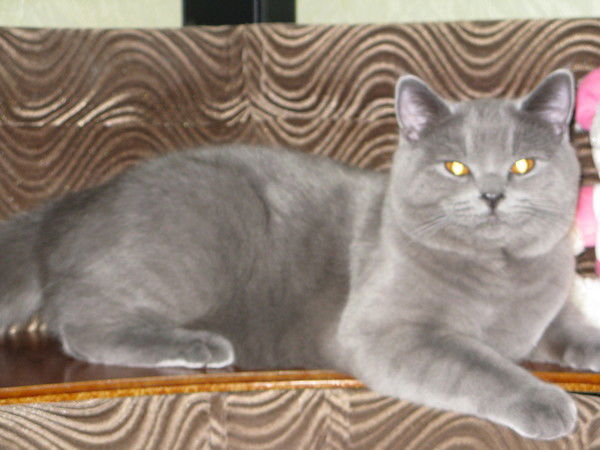 Лена Малышева