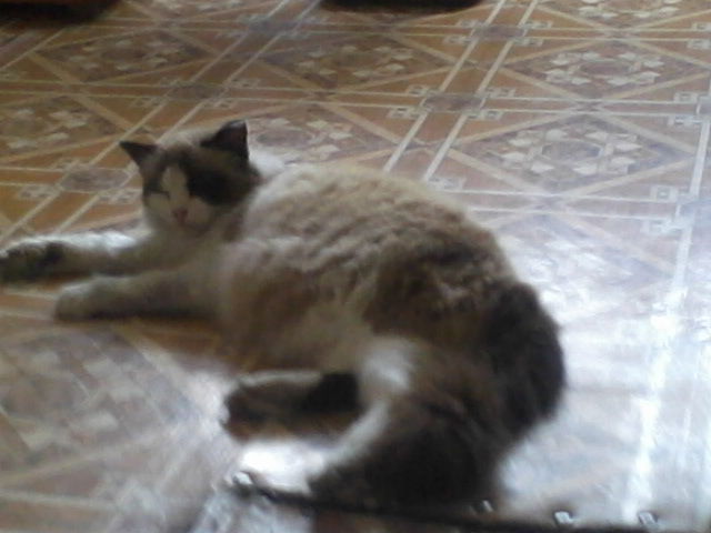 Сергей Жданов