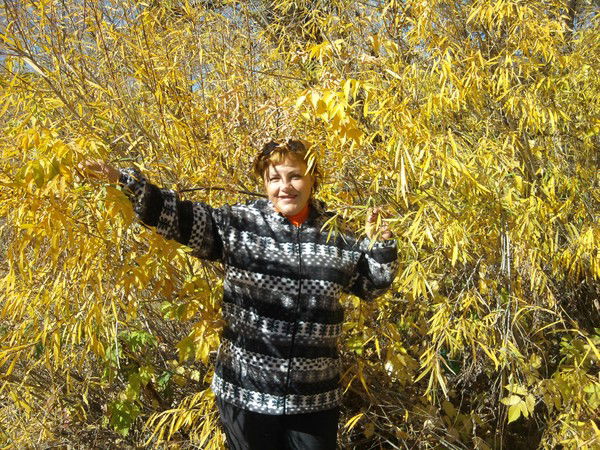 Елена Дикарева