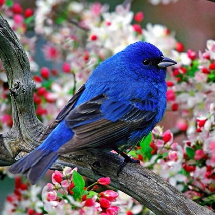 Александра Клеева