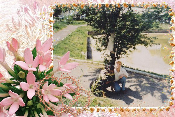 Алла Шепелева