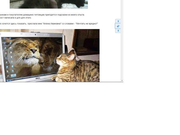 Надежда Филиппова