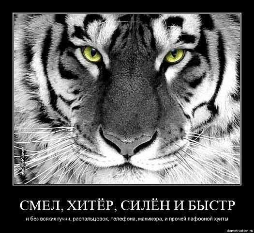 Иван Липсюк