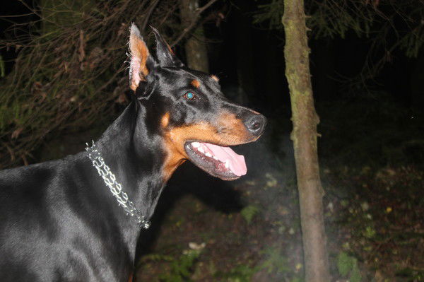 Наталья Александрова