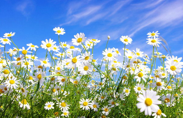 Люда Сулейменова