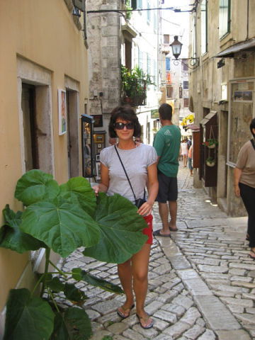 Елена Моисеева