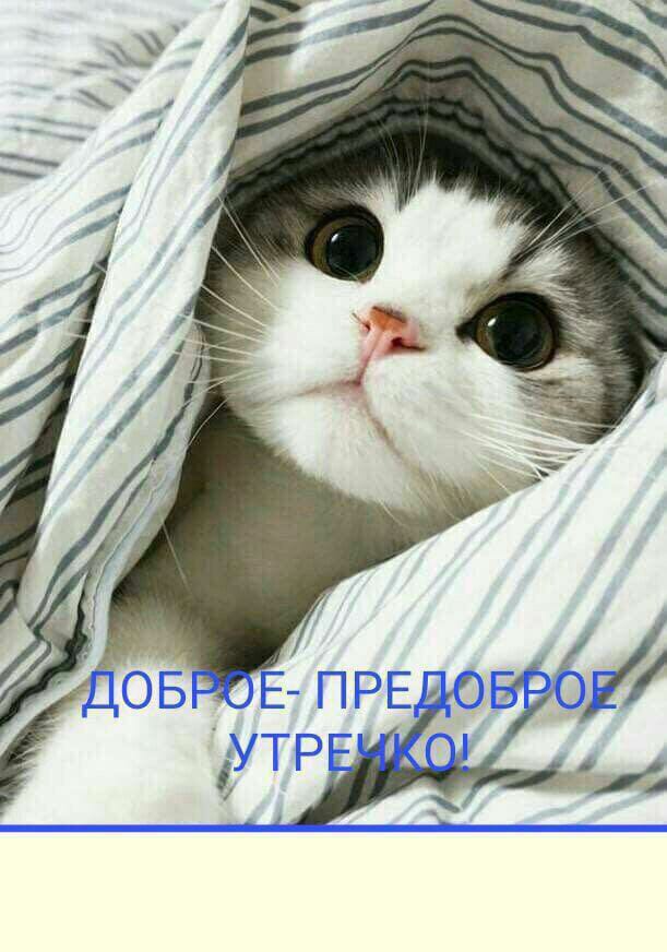 Екатерина Поликарпова