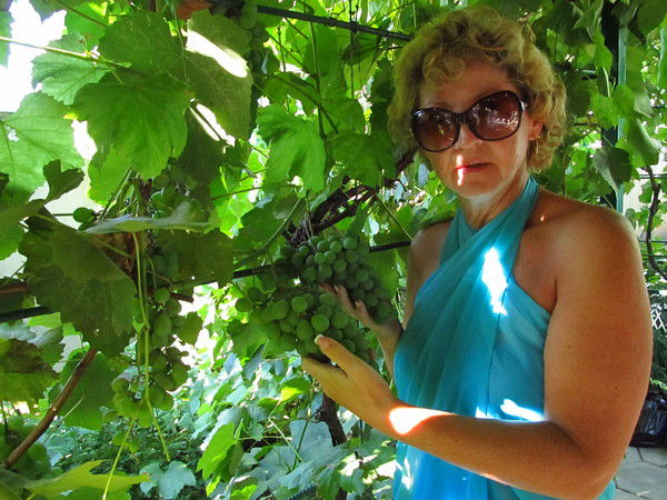 Наташа Розова