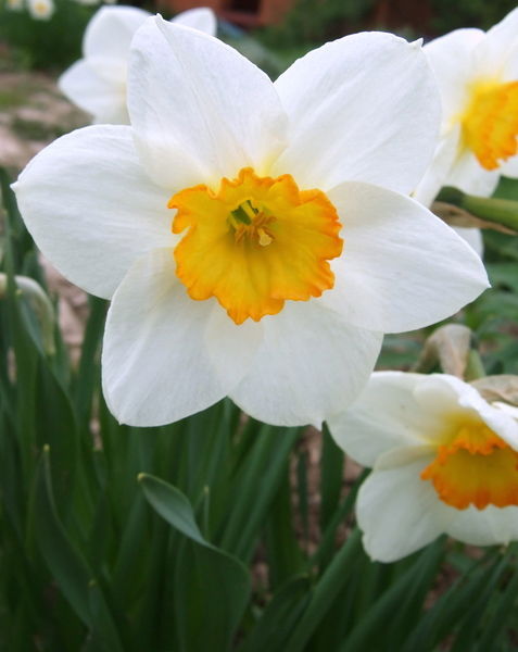 Татьяна Костырко