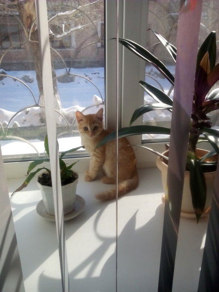 Анюта Макашова