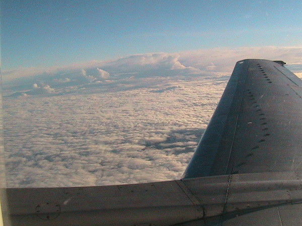 Виктор Гальянт