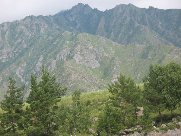 Александр Мареев