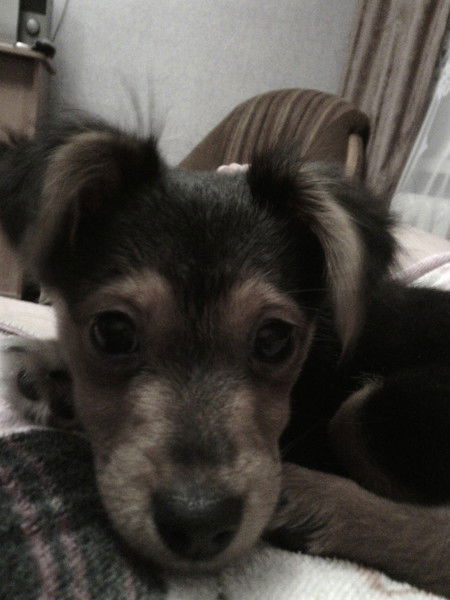 Вероника Агафонова