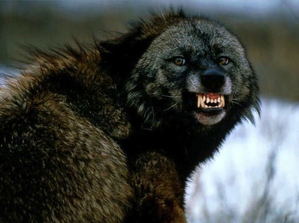 Призрак Смерти