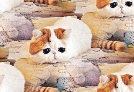 Лидия Ленивая