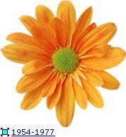 Шереметьева Людмила