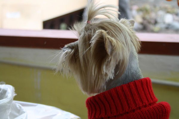 Дарт Вейдер