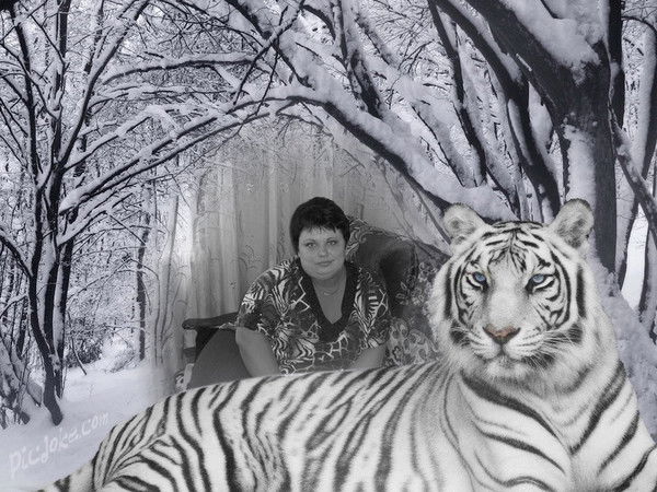 Елена Царенко