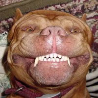 Артём Суворов