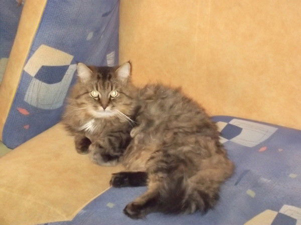 Алексей Сидорович