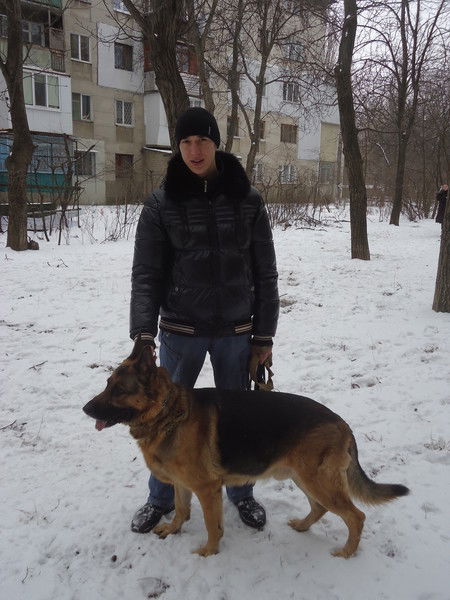 Александр Богдан