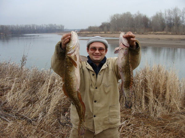 Сергей Слепцов