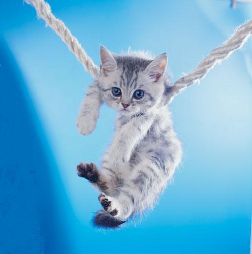 Ирина Константиновна