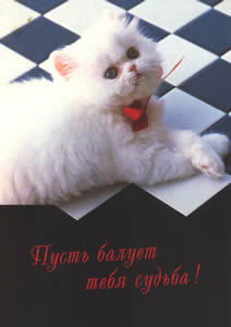 Тамара Павловская