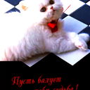 Тамара Павловская