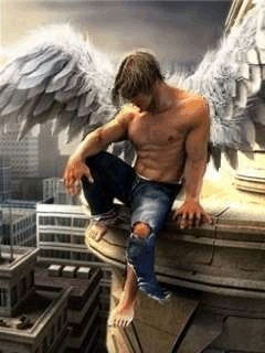 Вячеслав Проценко