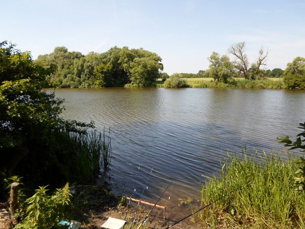 Геннадий Сол