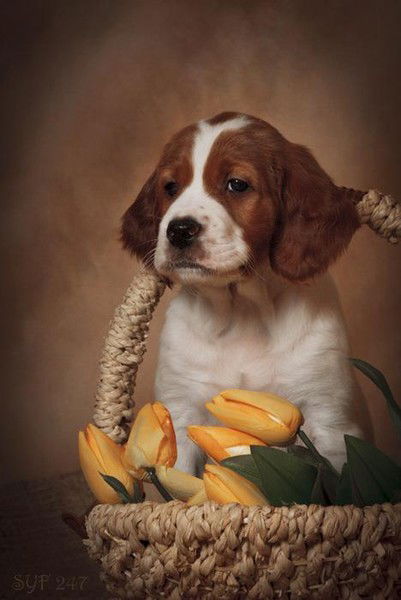 Марина Гурова